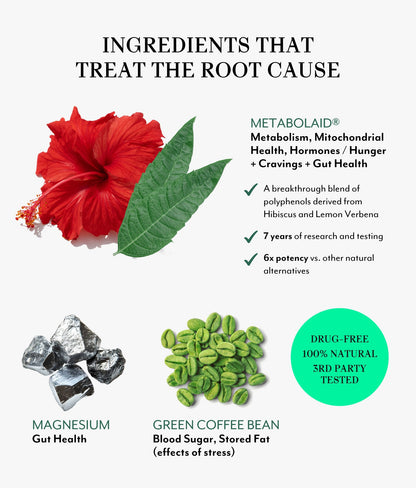 Veracity Metabolism Ignite Burns Fat GLP-1 & Metabolic Supplement 30 Serving