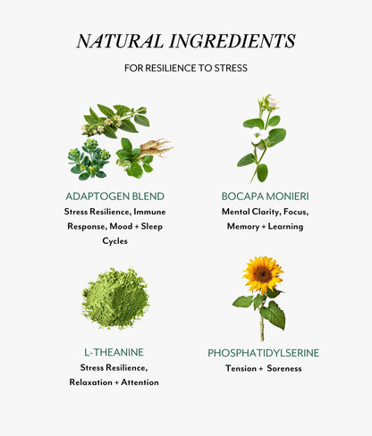 Veracity Cortisol Calming Stress & Sleep Support Supplement 60 Capsules