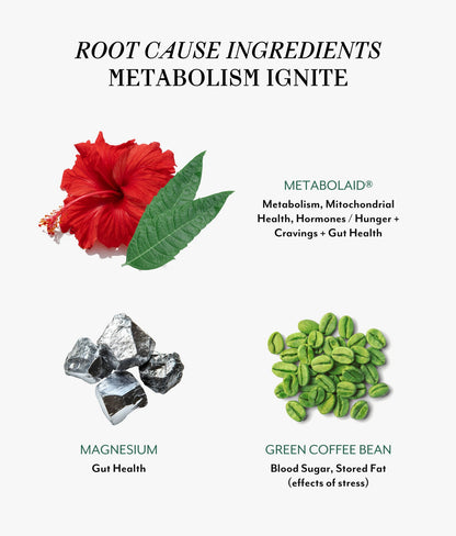 Veracity Metabolism + Stress Set